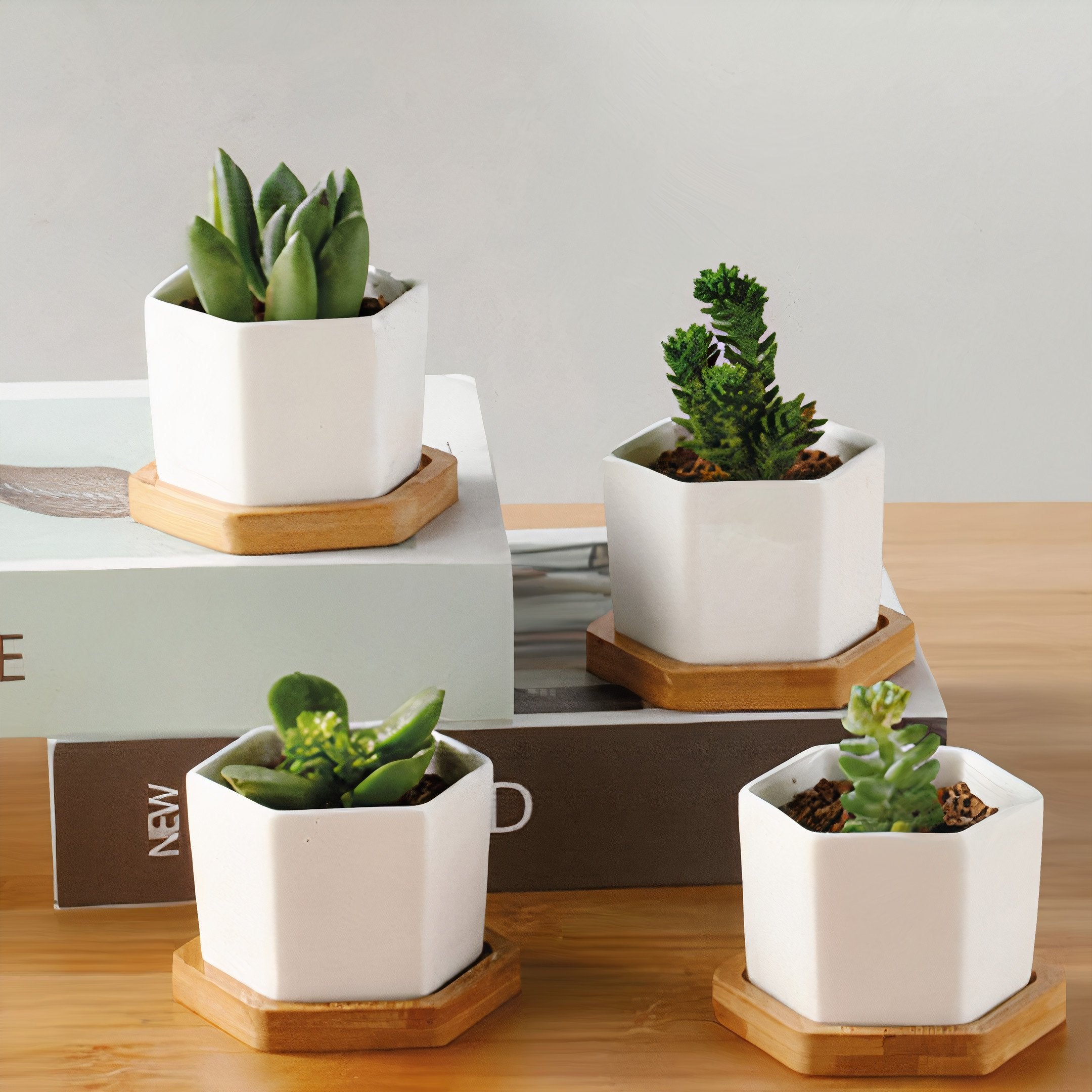 Message in a Planter - 4" Set of 3