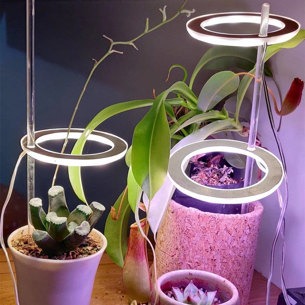 Angel Ring LED Grow Light