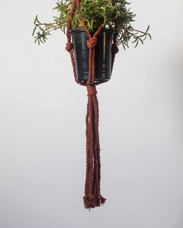 Tile Red Macrame Plant Holder; Boho Hanging Planter for Indoor Plants