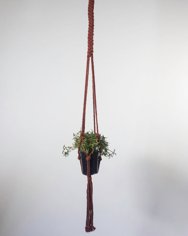 Tile Red Macrame Plant Holder; Boho Hanging Planter for Indoor Plants