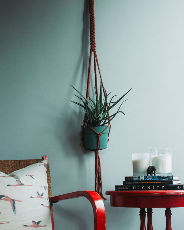 Terracotta red braided macrame plant hanger holding a teal pot with an aloe vera plant, styled against a dusty blue wall beside a rattan chair and red side table