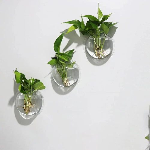 Three clear round glass wall-mounted vases with green pothos plant stems and leaves, arranged diagonally on a plain white wall.