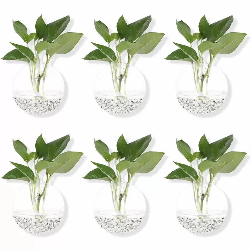 Set of six clear glass wall planters with green plants and white pebbles on a white background