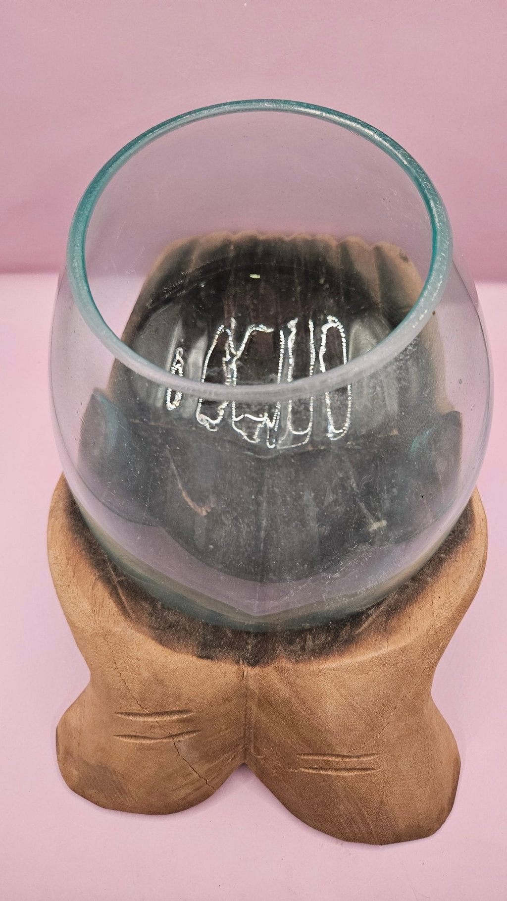Glass container with a plant on a pink background